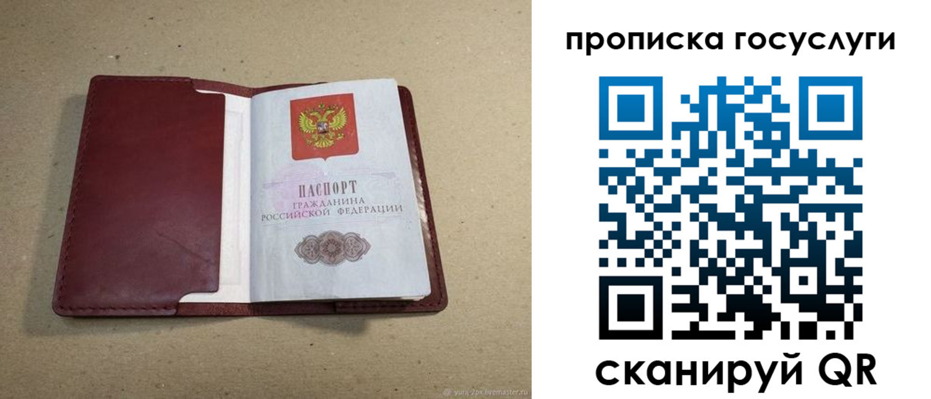 прописка поиск в Данкове